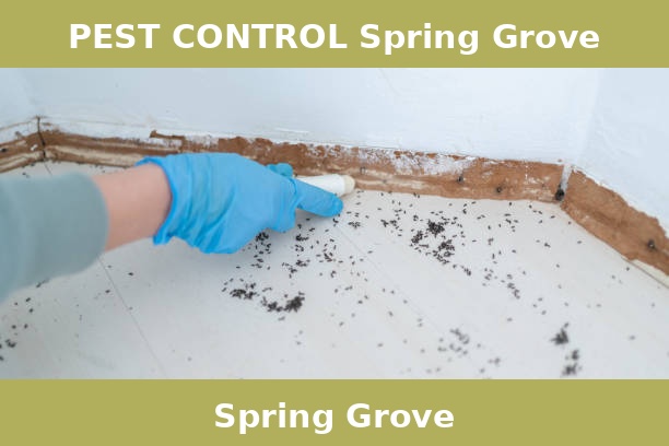 PEST CONTROL Spring Grove